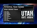 What should Utah's team be named?