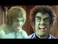 The Incredible Hulk VS Evil Hulk