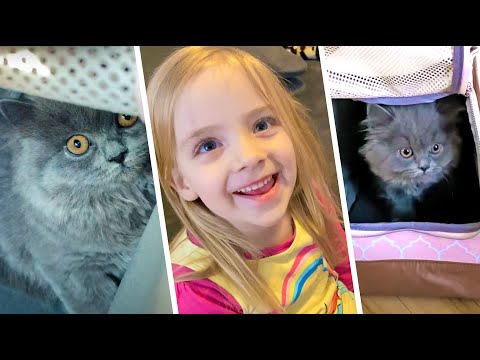 Paulina bekommt eine Baby Katze 🐱😍