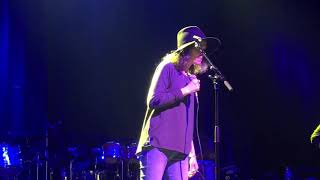 EDIE BRICKELL &amp; NEW BOHEMIANS - “Ghost Of A Dog” 10/22/18