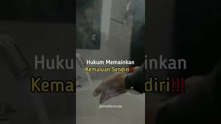 Download lagu Klik Baca Caption⠀. ⠀Hukum Memainkan Kemaluan Sendiri ONANI hukumnya Haram. #short #hijrahyuk #islam mp3