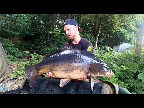 Karpfenangeln 2021 VTB07, Angeln am Rainbow Lake in Brandenburg, WaterWolf, Drohne, Outdoor, Camping