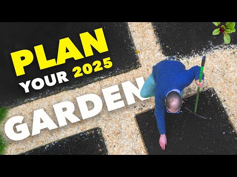 Plan Your Vegetable Garden in 5 Easy Steps