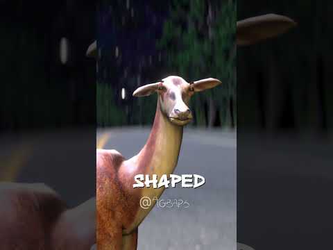 Driving in my car after a beer