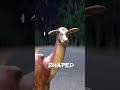 Driving In My Car After A Beer