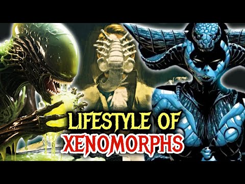 Lifestyle Of Xenomorph Explored - Culture, Hierarchy, What Do They Eat, How Do They Mate, & More