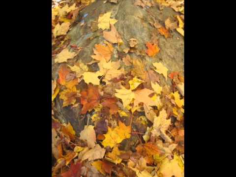 download lagu mp3 mp4 Interlude For Piano Peter Bradley Adams, download lagu Interlude For Piano Peter Bradley Adams gratis, unduh video klip Interlude For Piano Peter Bradley Adams