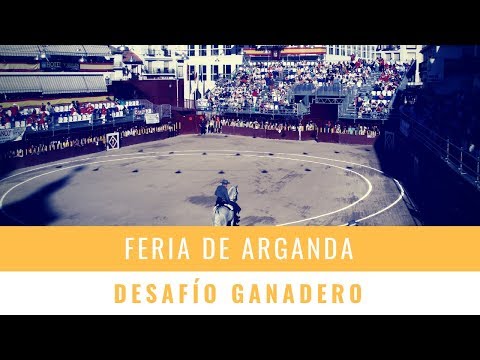 🐂 FERIA DE ARGANDA – DESAFÍO GANADERO 🐂