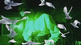 Robb Bank$ - Green Star (Music Video)