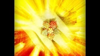 satu Kau menelan diriku #NettaKD