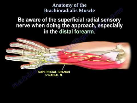 brachialis artrózis kezelés