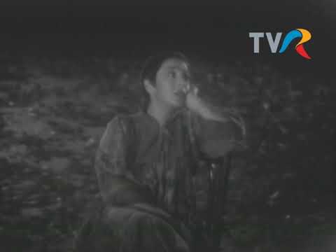 Anda Călugăreanu - Seara