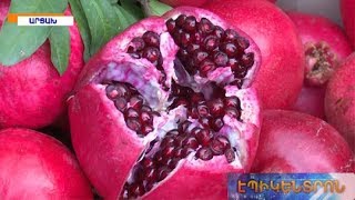 Արցախցիները մեծ շուքով նշել են նռան փառատոնը