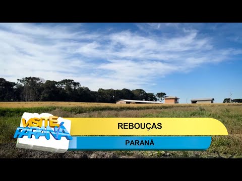 Visite Paraná: Rebouças