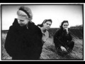 The Breeders Fortunately Gone (Peel Session)
