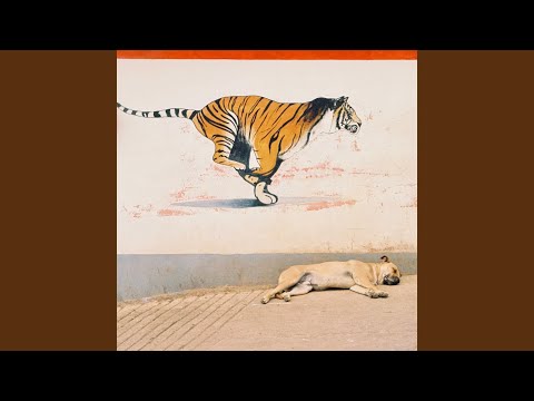 Long Distance Lovers