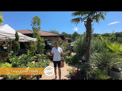 Anyukám kertje - Kertészeti áruda | Tápiószecső | Gyere és nézz körbe nálunk!