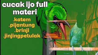 Download lagu MATERI RAPAT KASAR CUCAK IJO FUll isian mp3