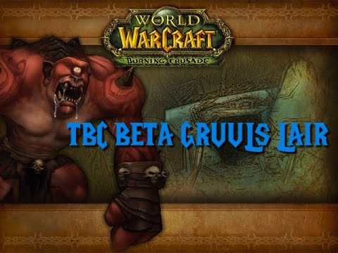 GRUULS LAIR TBC BETA  - One Shot King and Gruul - Hunter POV