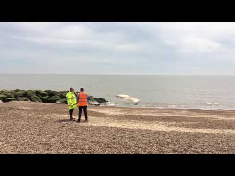 Scenes from Felixstowe seafront after a whale washed up on the shore