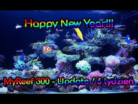 (115) Happy New Year !!! / Update 6 tydzień - Akwarium morskie - Reef aquarium