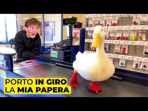 24H con la Mia PAPERA Domestica... (la porto al McDonald's)