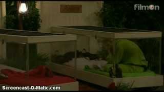 Ashley Roberts does the Bed Bugs Challenge - I'm A Celebrity...Get Me Out Of Here UK 2012