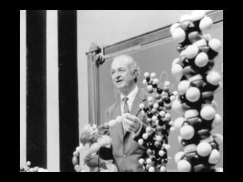 The Discovery Of Double Helix Structure Of DNA