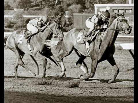 SPECTACULAR BID - HASKELL 1980