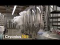 Video for cryonics