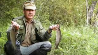 Река мехреньга архангельская область рыбалка