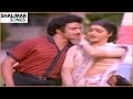Palnati Puli Movie Neeku Pettanivvu Muddu Medha Video Song Balakrishna Bhanupriya