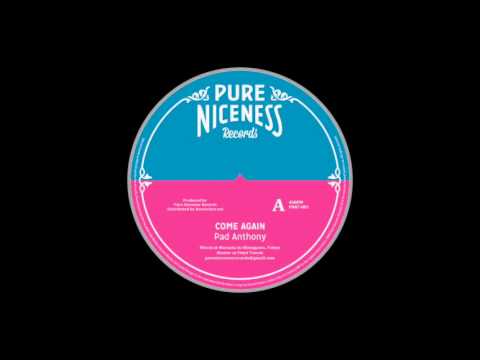 Pad Anthony - Come Again - Pure Niceness Records 7