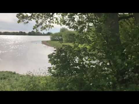 Ardsley Reservoir Walk