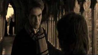 Download lagu Somewhere Only We Know - Harry Potter music video mp3