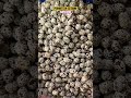 Peanuts In Sesame Very Tasty Shorts Trending