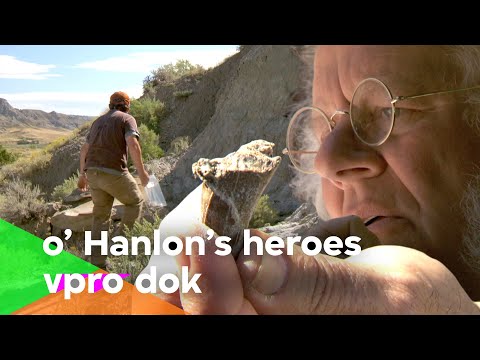 Die Knochenkriege (O'Hanlon's Heroes (4/8) | VPRO Dok