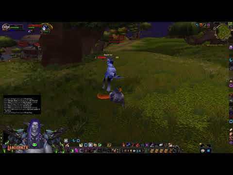 Feral Druid lvl 65 vs Bach'lor (Burning Crusade Classic)