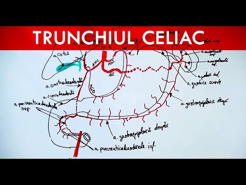 Boli distrofice ale articulațiilor și ale coloanei vertebrale