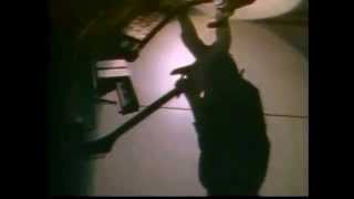 Video thumbnail for NEAL SCHON - JOURNEY - 1986 ~ GUITAR SOLO ~ SCHON GUITAR by Neal Schon Fan page