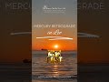 Mercury Retrograde In Leo Https Www Facebook Com Share V 15vg9R2Etu Mibextid OFDknk