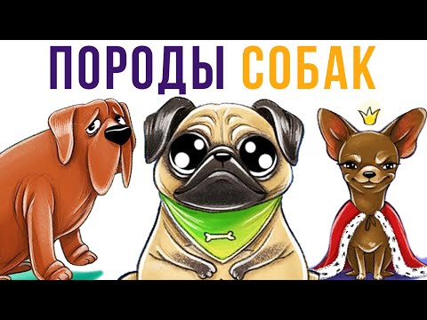 Комиксы. Породы собак | Мемозг #338