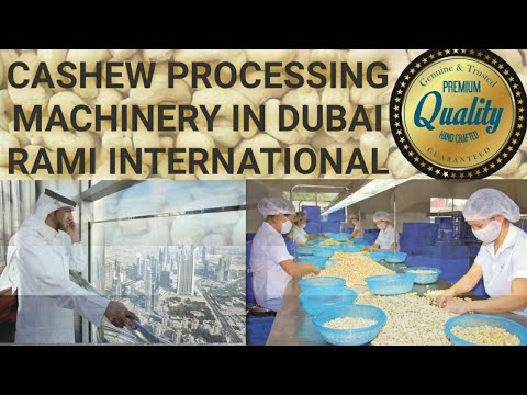Cashew Nut Processing Machinery