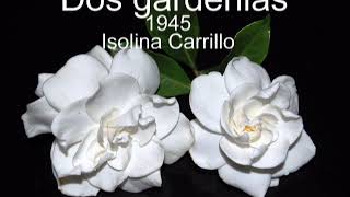 Dos gardenias - Gennaro Agrillo