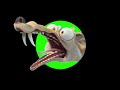 Ice Age Scrat Screaming Green Screen