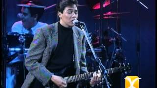 Los Temerarios, Fue un Juego, Festival de Viña 1993