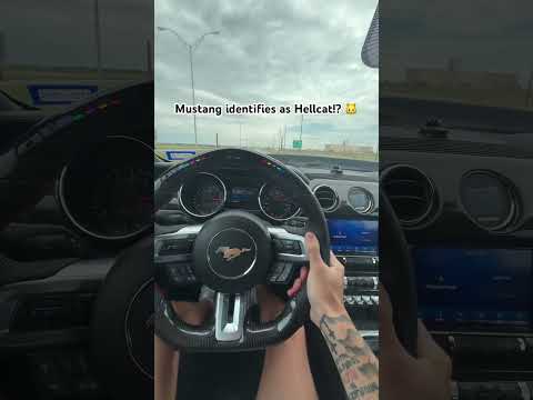 LOUD SUPERCHARGER WHINE!! (2.9 Whipple 5.0 Mustang)
