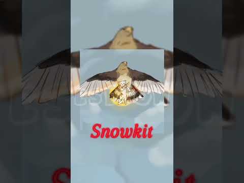 Which kit death was most painful? #snowkit #mosskit #petalkit #larchkit #patchkit