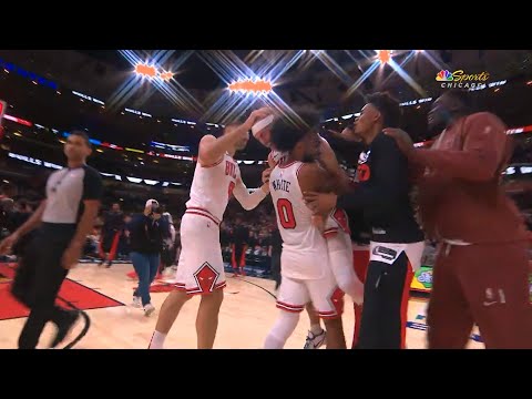 INSANE GAME WINNER! Chicago Bulls vs Toronto Raptors Final Minutes ! 2023-24 NBA Season