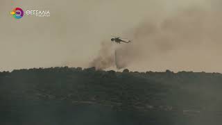 ΤΡΙΑ ΠΥΡΙΝΑ ΜΕΤΩΠΑ ΜΕΣΑ ΣΕ ΛΙΓΕΣ ΩΡΕΣ ΣΤΟΝ ΒΟΛΟ - ΣΤΟ ΜΙΚΡΟΣΚΟΠΙΟ Ο ΕΜΠΡΗΣΜΟΣ 19 08 2026